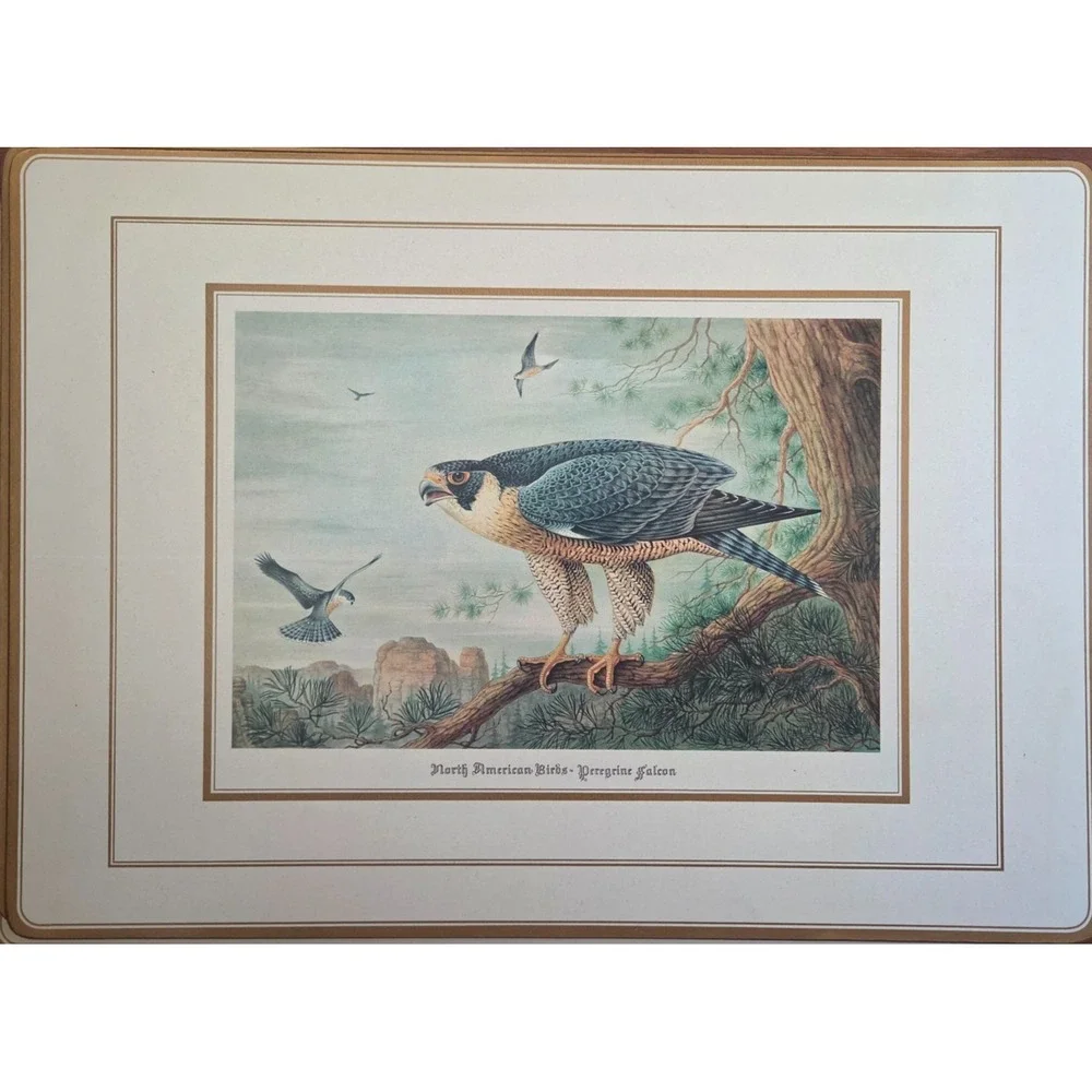 Vintage English Life Place Mats(4) Schmid Brothers-North American Birds of Prey